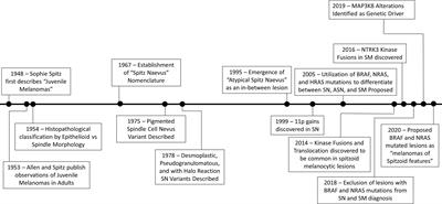 The Spectrum of Spitz Melanocytic Lesions: From Morphologic Diagnosis to Molecular Classification